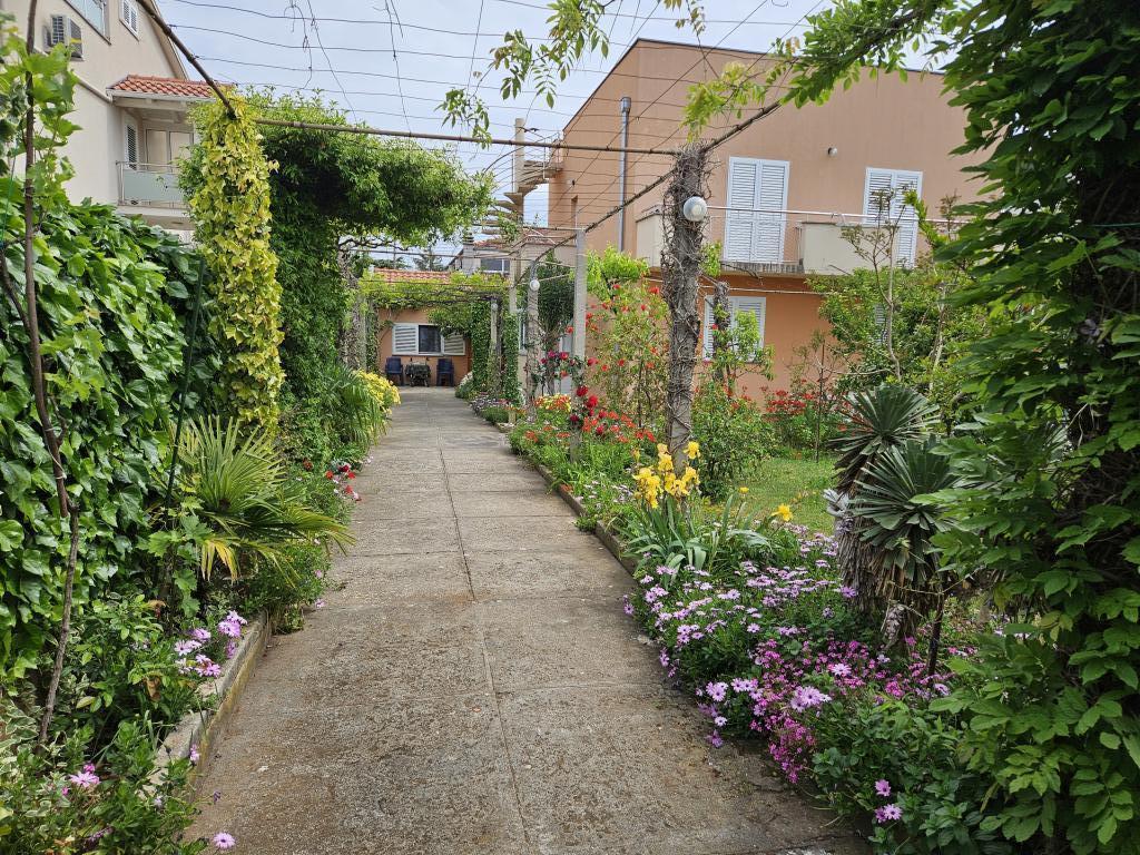 Apartmani Amalia – fotografija 3