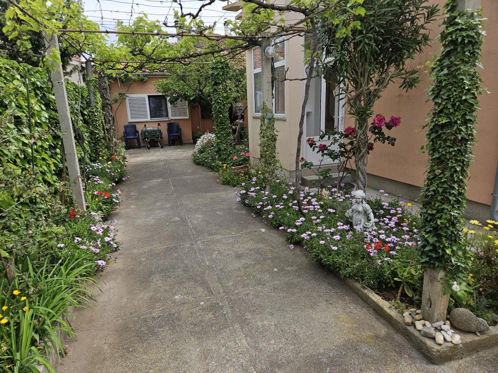 Apartmani Amalia – fotografija 4