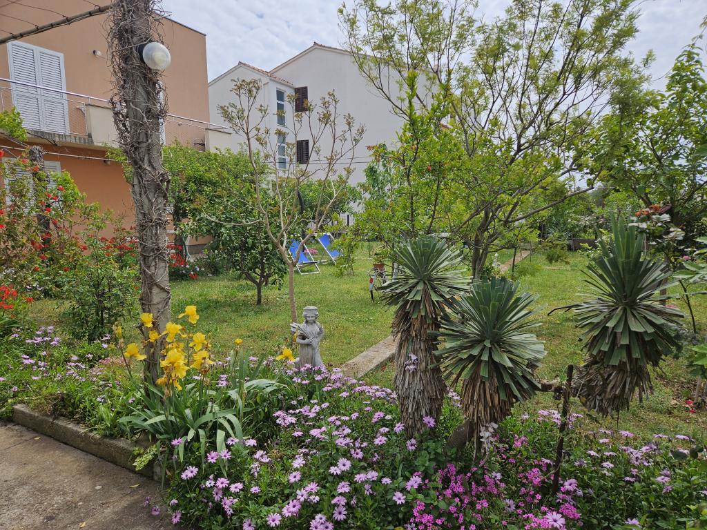 Apartmani Amalia – fotografija 5