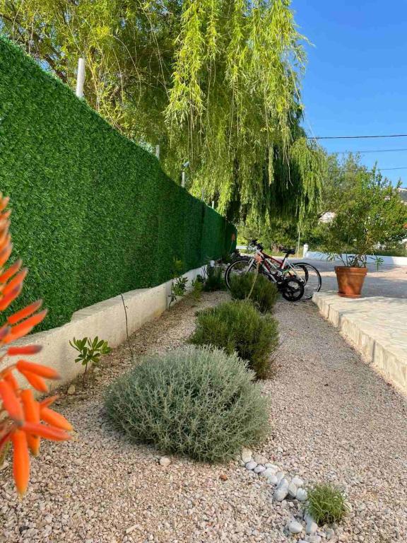 Apartmani Arba Sunshine – fotografija 4