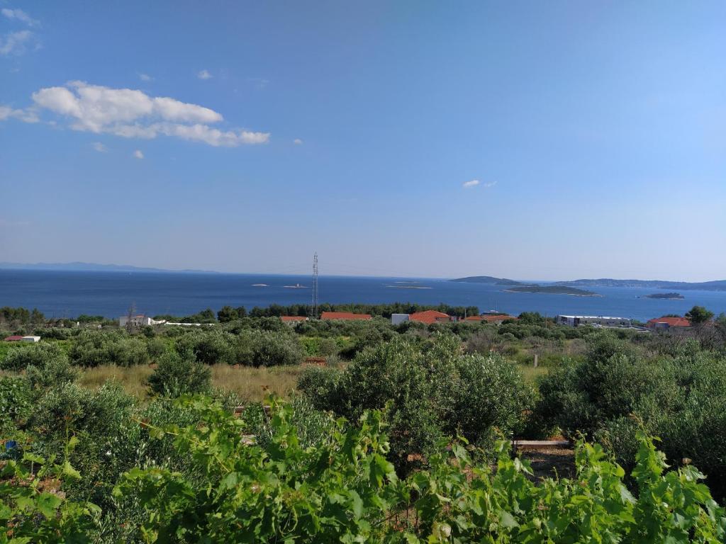 Apartman A&M – fotografija 6