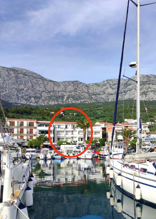 Apartmani Lučica – fotografija 3