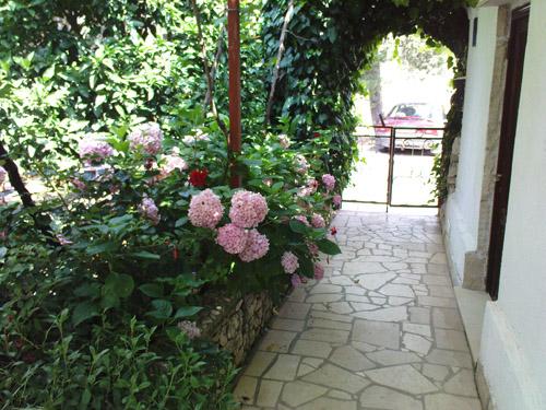 Apartmani Goleš – fotografija 6