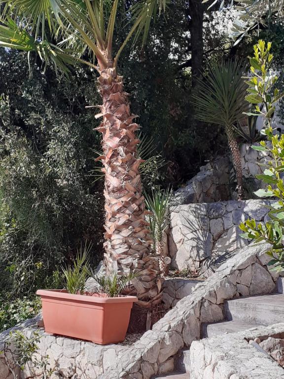 Apartman Villa Arijana – fotografija 3