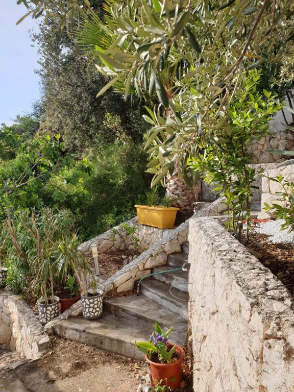 Apartman Villa Arijana – fotografija 4