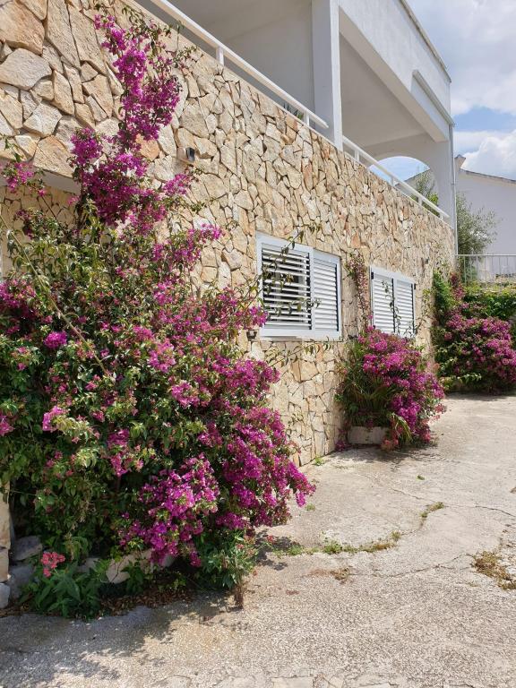 Apartman Villa Arijana – fotografija 5
