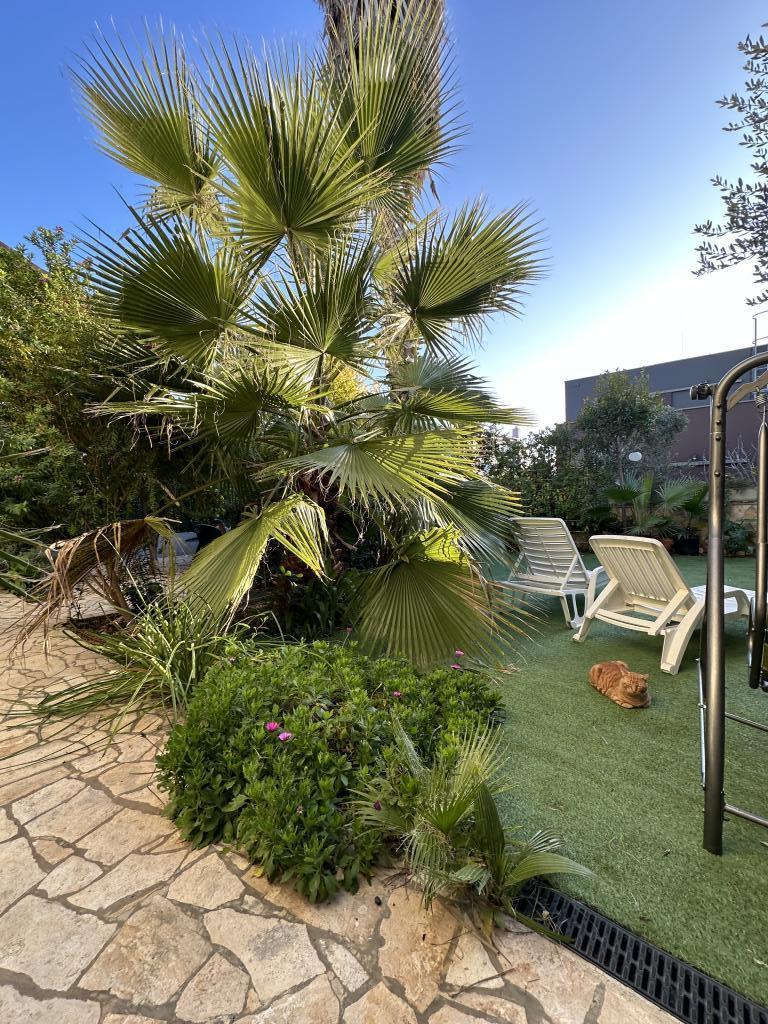 Apartmani Petra – fotografija 3