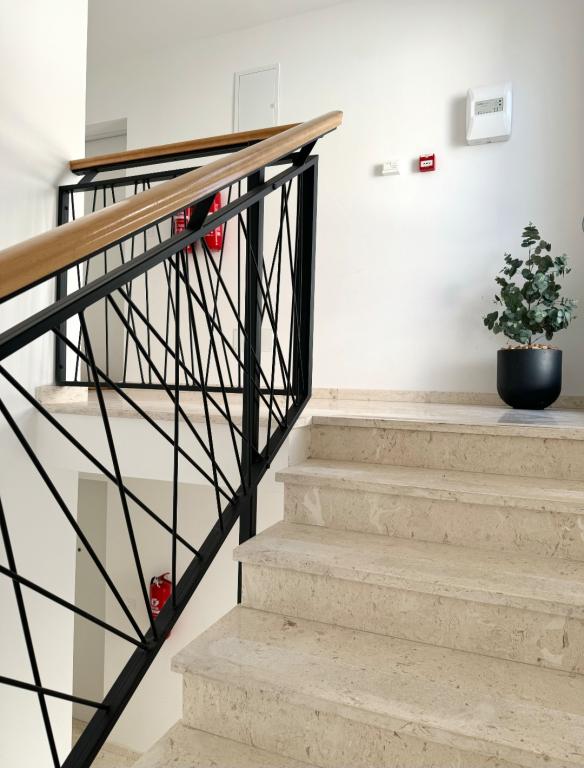 Apartman Rojena Valo – fotografija 4