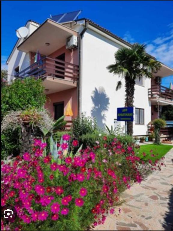 Apartmani Marina – fotografija 1