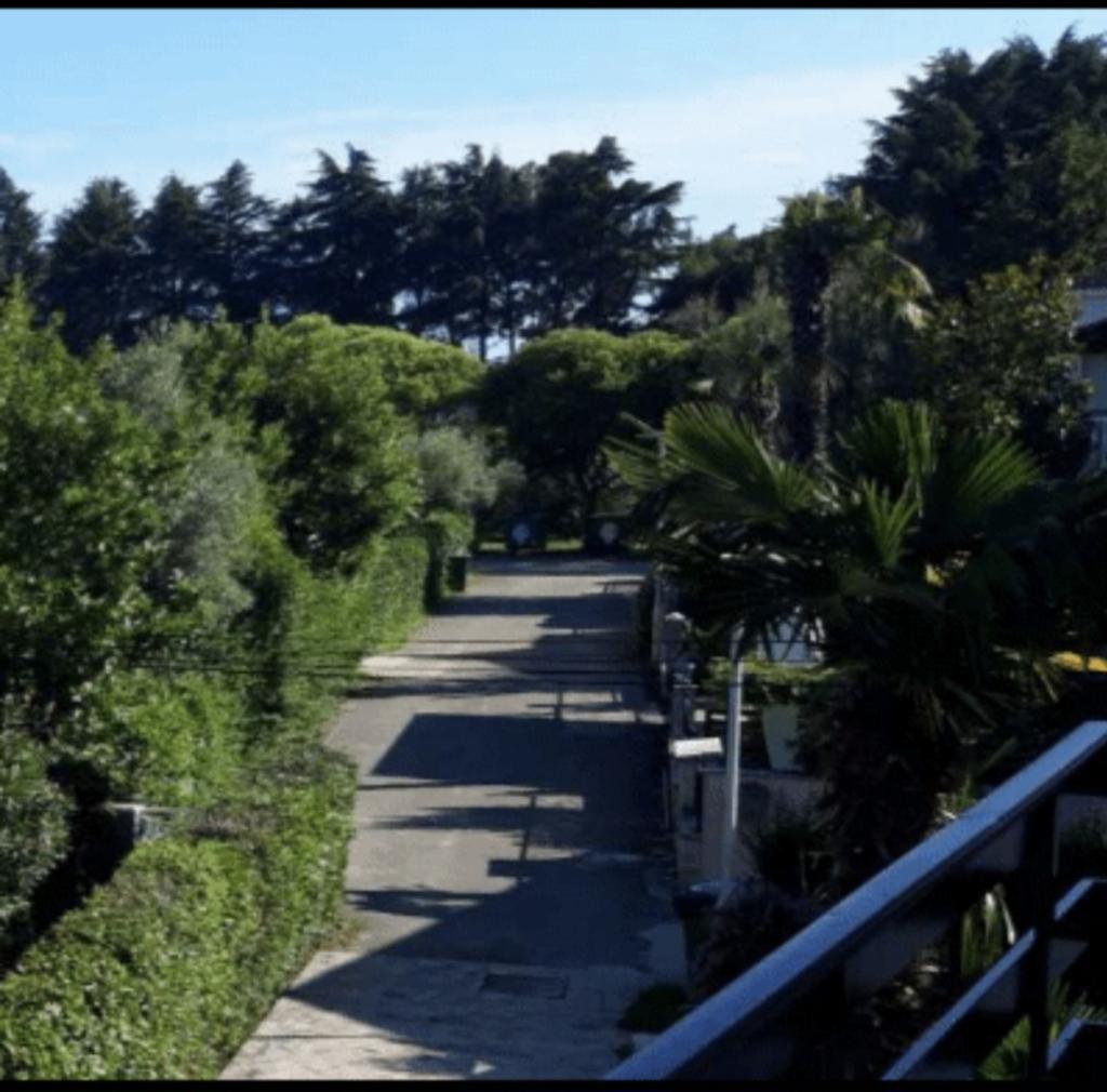 Apartmani Marina – fotografija 4