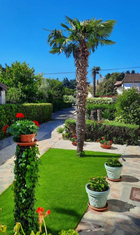 Apartmani Marina – fotografija 5
