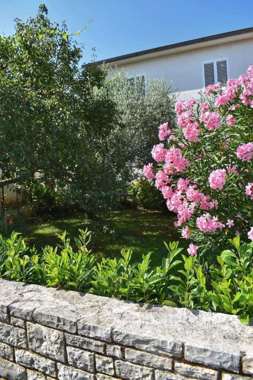 Apartman Lavanda18 – fotografija 4