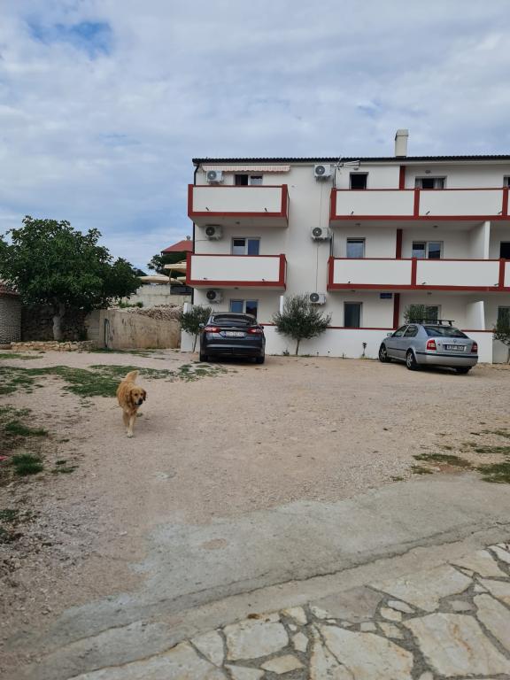 Apartmani Leonard – fotografija 4
