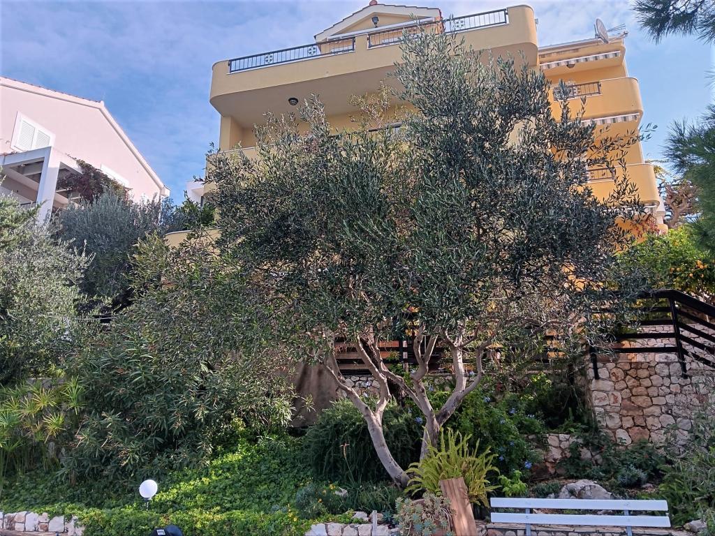 Apartmani A1 More – fotografija 1