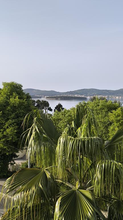 Apartman Maja – fotografija 5