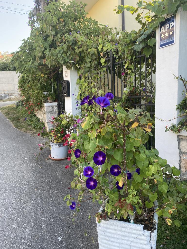 Apartman Violetta – fotografija 4