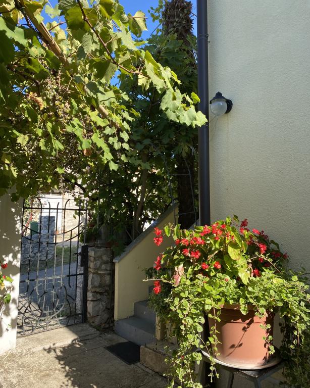 Apartman Violetta – fotografija 5