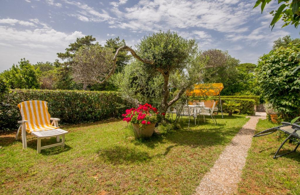 Apartmani Nada – fotografija 4