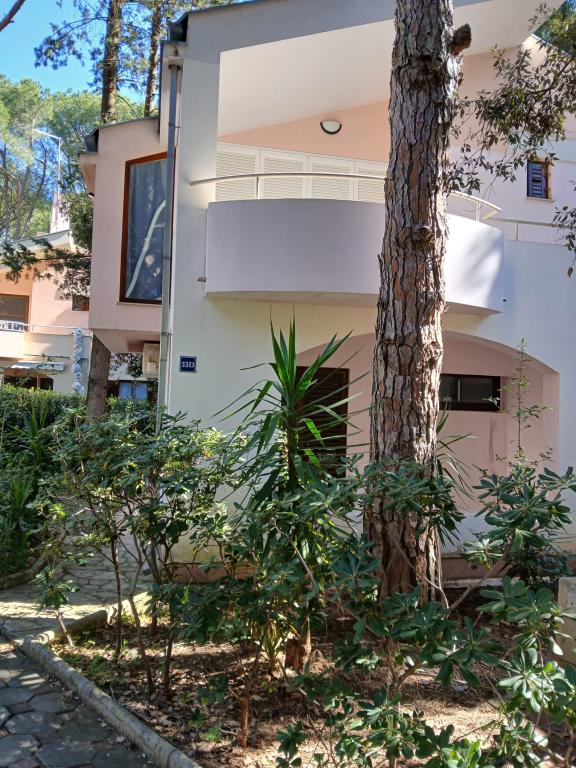 Apartmani Ađin – fotografija 3