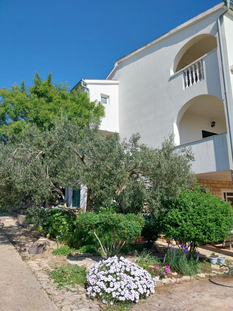 Apartmani Elidvina – fotografija 4