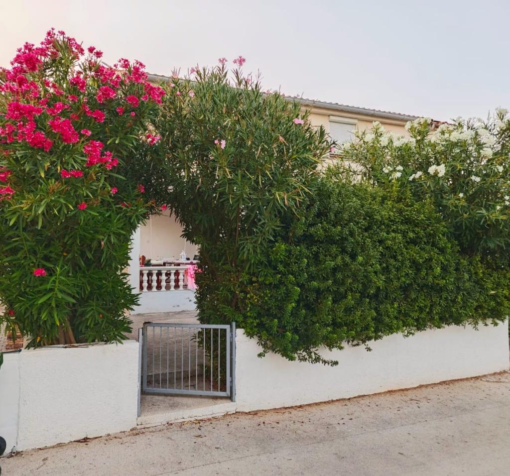 Apartmani Sun and Sea – fotografija 2