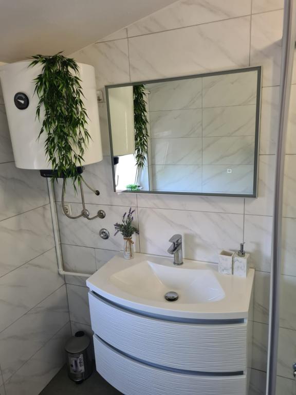 Apartmani Brunčić – fotografija 5