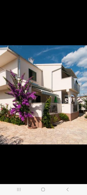 Apartmani Stjepan – fotografija 4