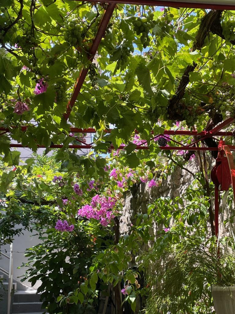 Apartman Gaviota – fotografija 5