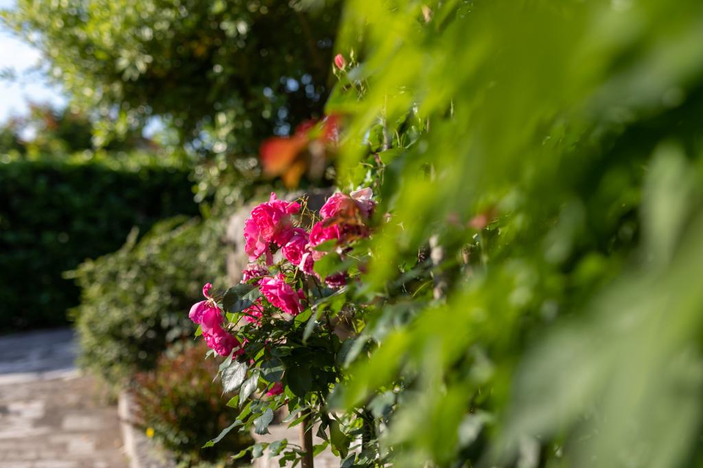 Apartman Mira – fotografija 5