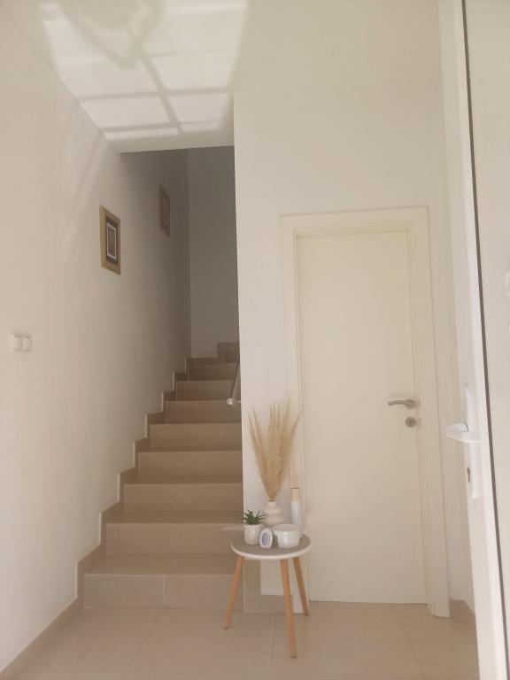 Apartmani Marković – fotografija 4