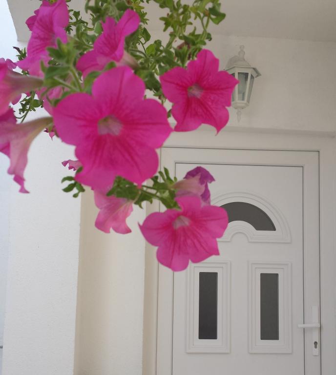 Apartmani Sunce – fotografija 4