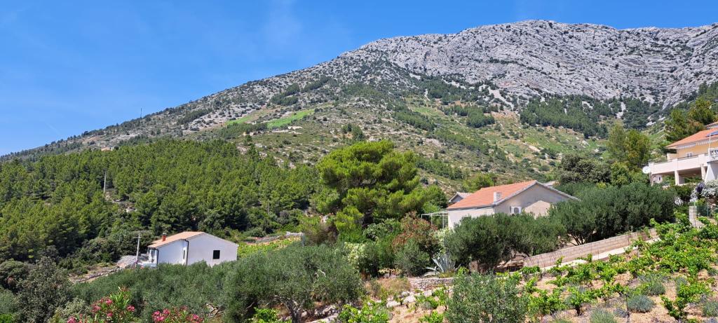 Apartmani Lavanda – fotografija 6