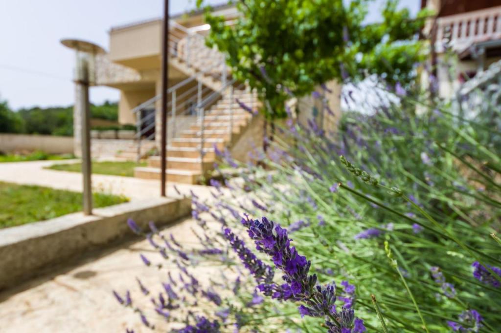 Apartmani Veronika – fotografija 4
