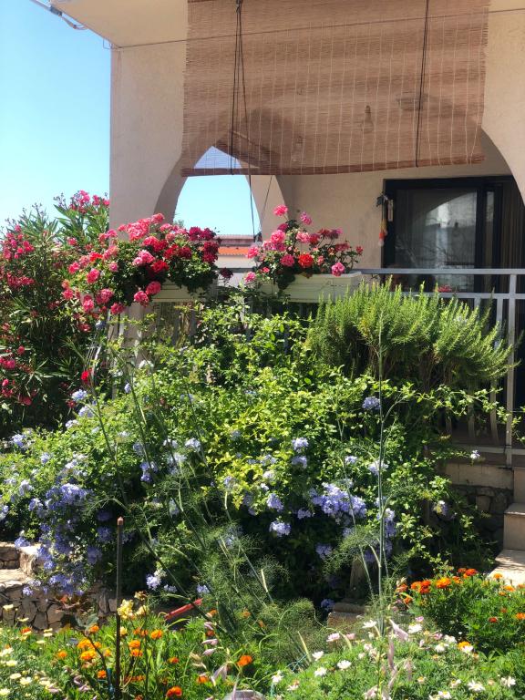 Apartmani Villa Flora – fotografija 1
