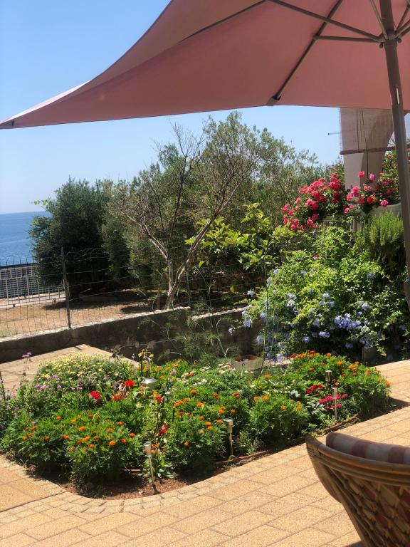 Apartmani Villa Flora – fotografija 5