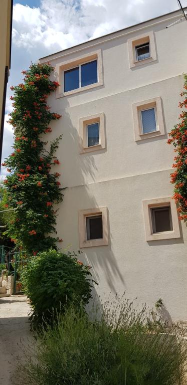 Apartmani Cvitanović – fotografija 3
