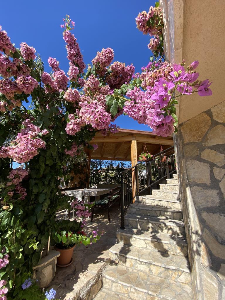 Apartmani Villa Nada – fotografija 5