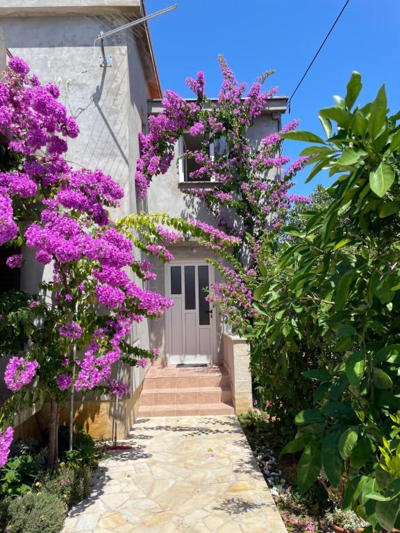 Apartmani Flowers – fotografija 3