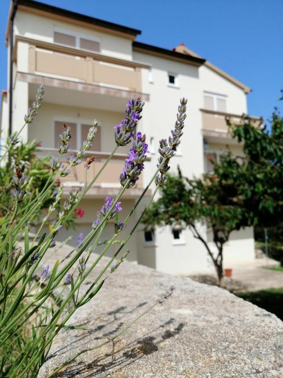 Apartmani Monika – fotografija 5