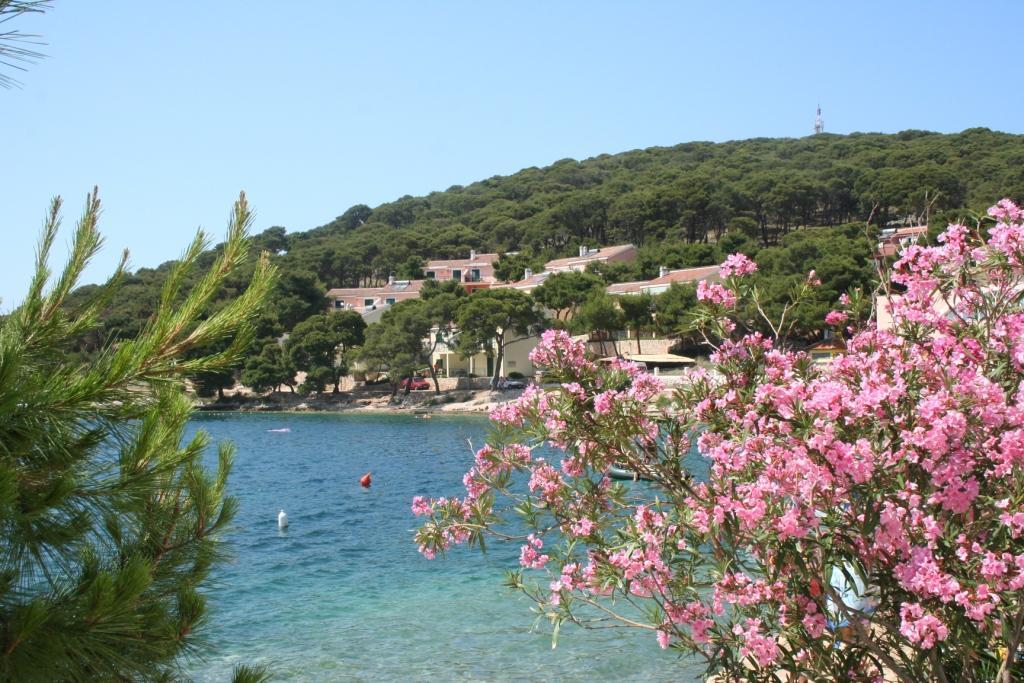 Apartman Ruzmarin – fotografija 4