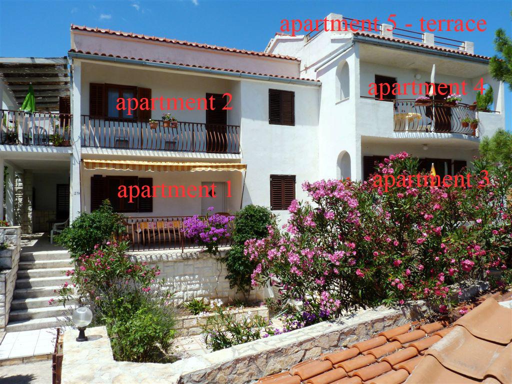 Apartmani Eva – fotografija 3