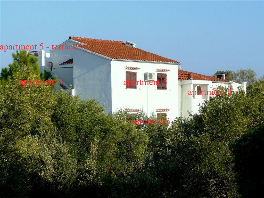 Apartmani Eva – fotografija 4