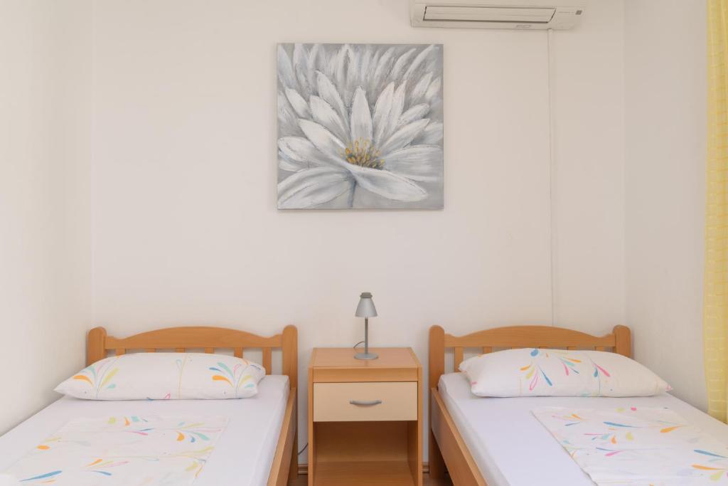 Apartmani Branka – fotografija 4
