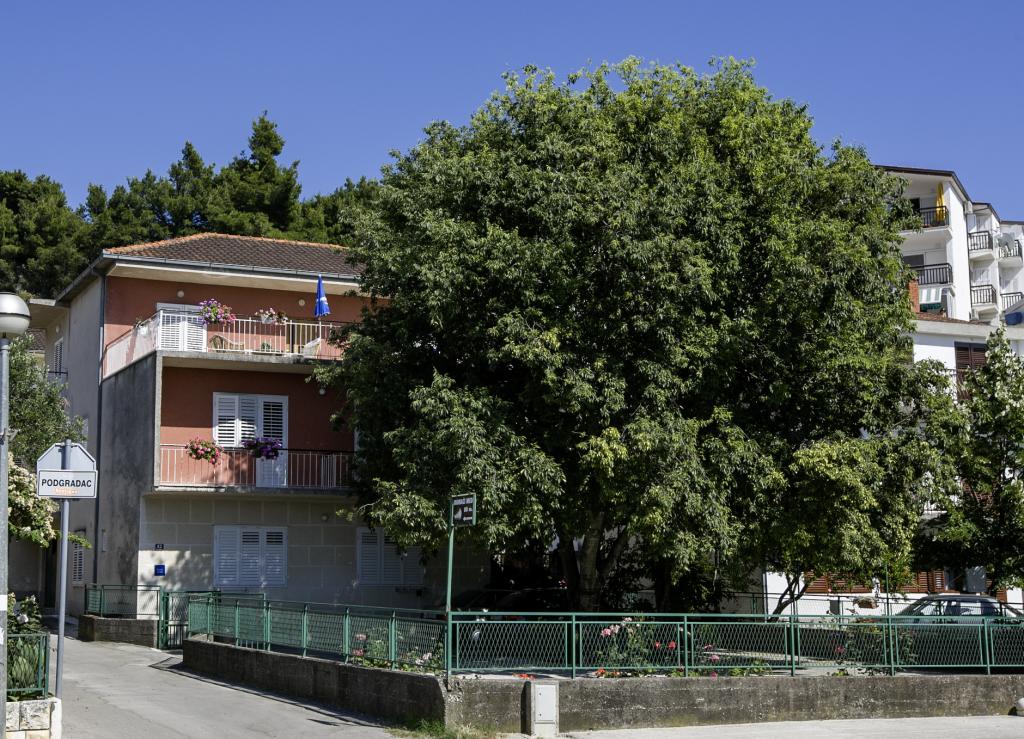 Apartmani Maja & Živana Ševelj – fotografija 3