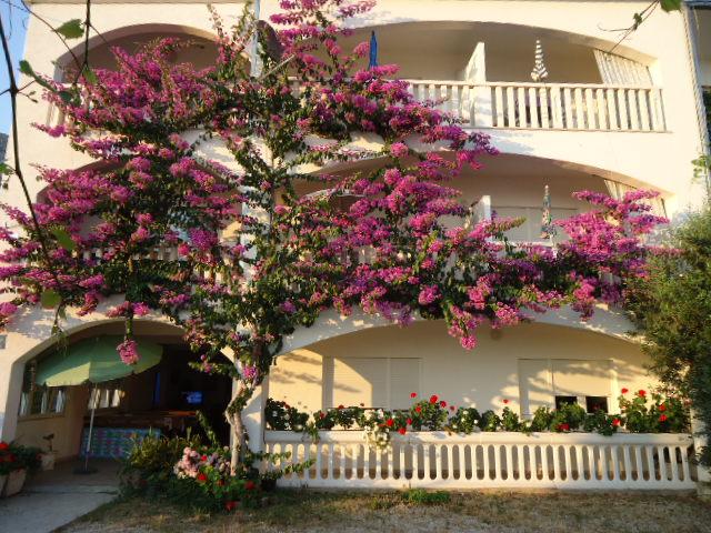 Apartmani Orange Sunshine – fotografija 2