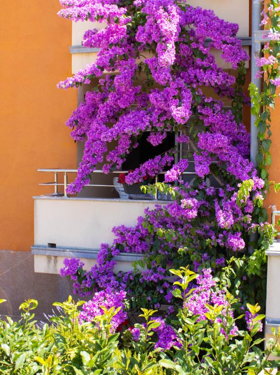Apartman Pijaca – fotografija 3