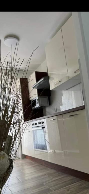 Apartman Matteo – fotografija 3
