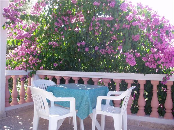 Apartmani Ibis – fotografija 3