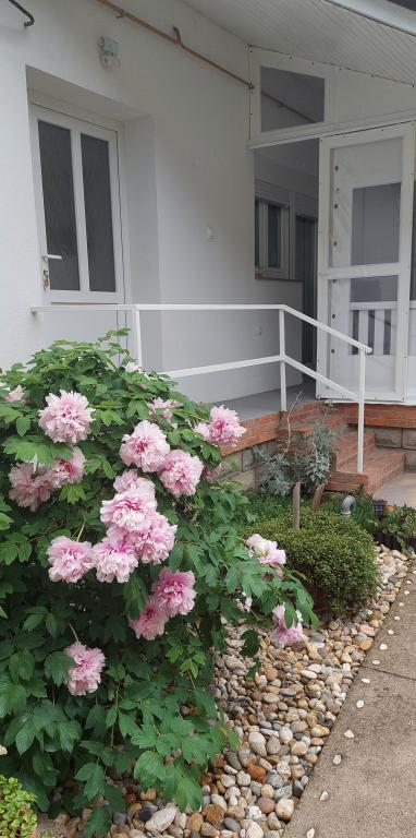 Apartman Mala Kuća – fotografija 1
