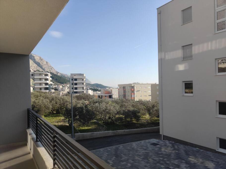 Apartman Maslina – fotografija 4